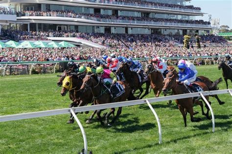 2015 melbourne cup results